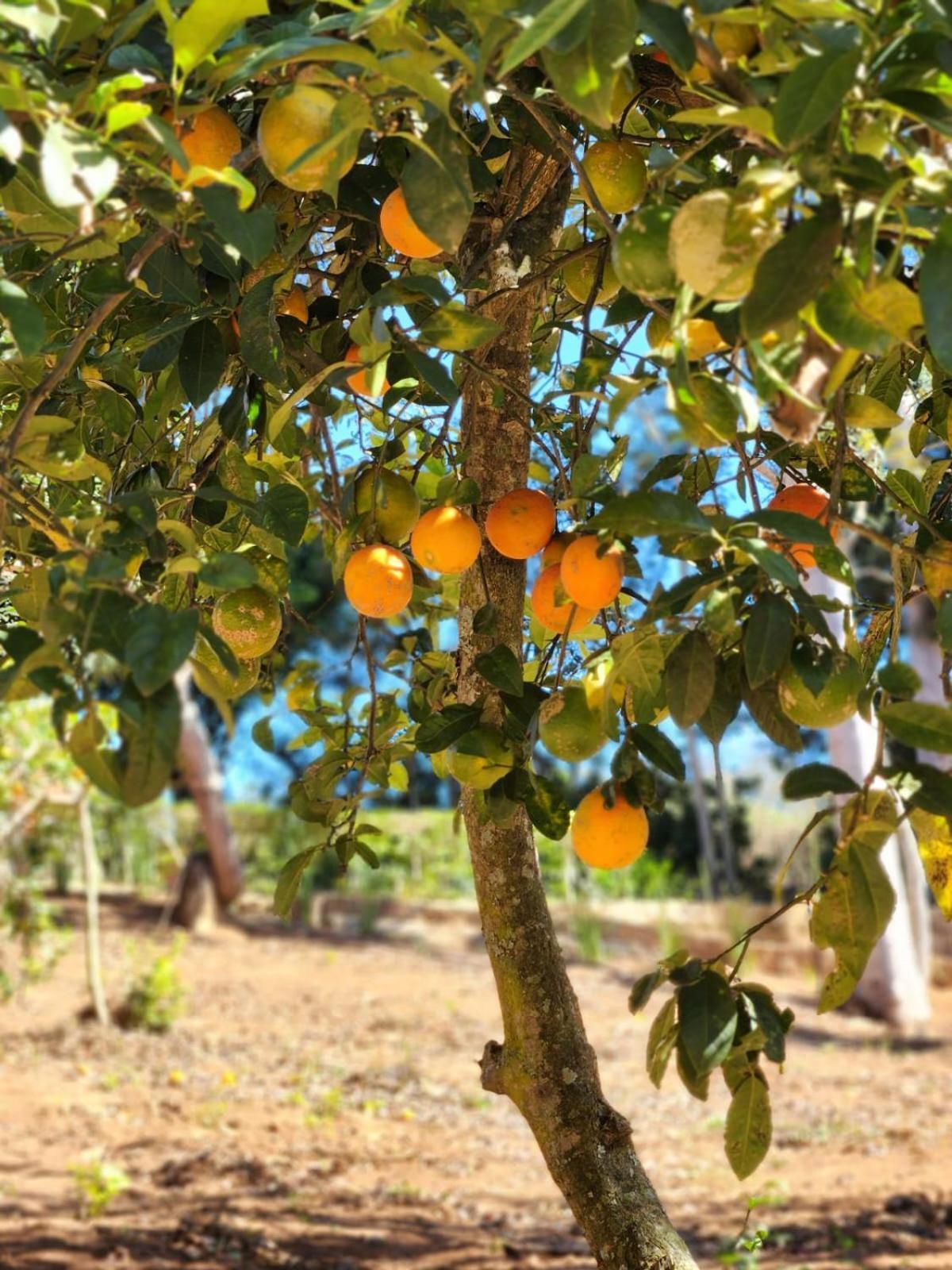 Pousada La Na Roca Paraisópolis Esterno foto